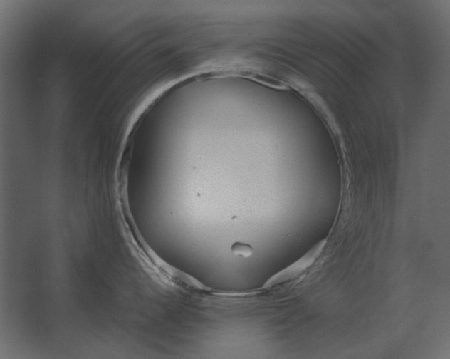 X0000067521344200604211807