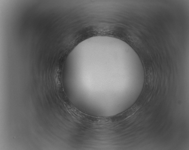 X0000067521346200604211806