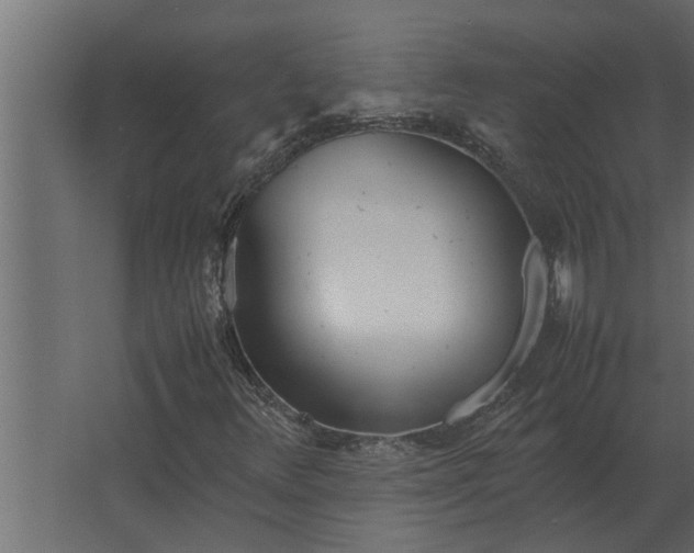 X0000067521348200604211806