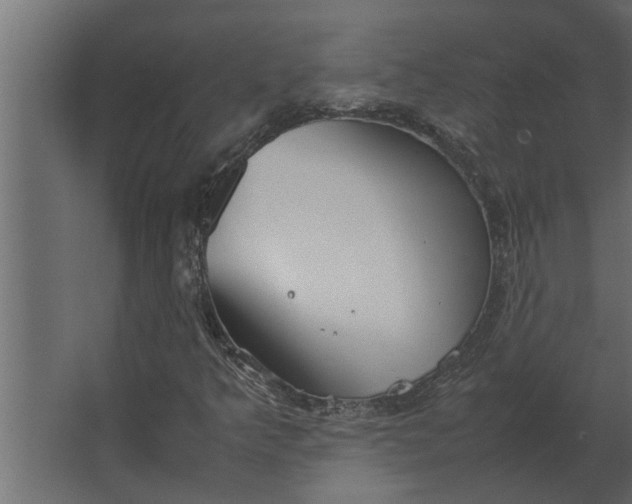 X0000067521349200604211806