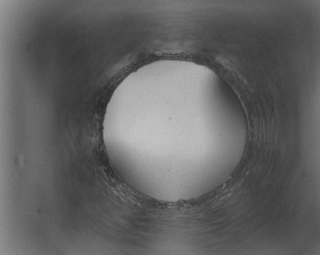 X0000067521350200604211806