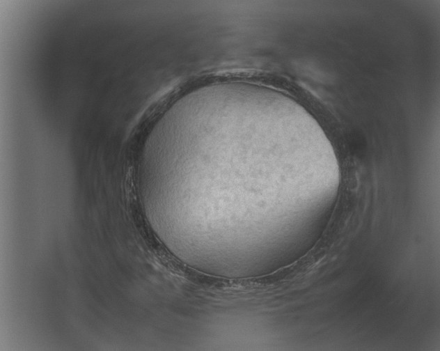 X0000067521351200604211806