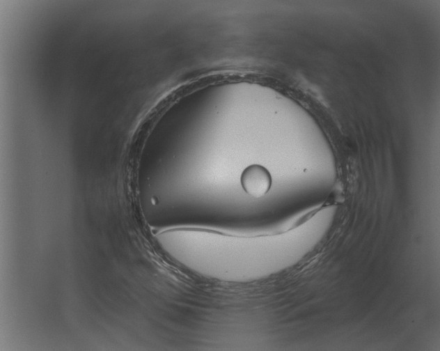 X0000067521352200604211806