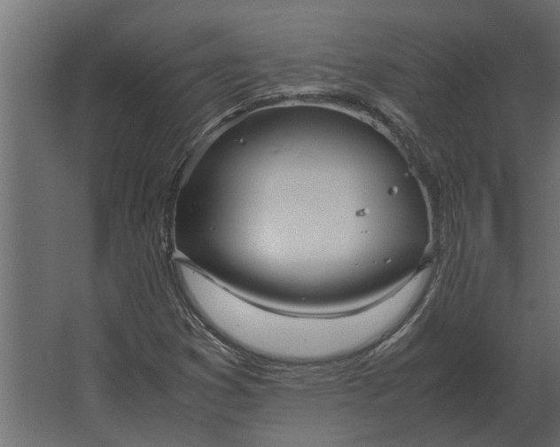 X0000067521353200604211806