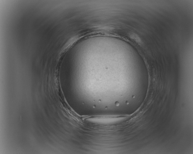 X0000067521354200604211806