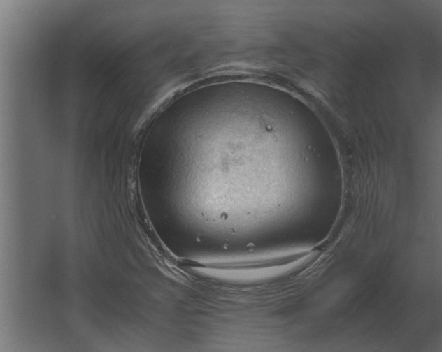 X0000067521355200604211806