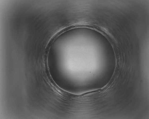 X0000067521356200604211806