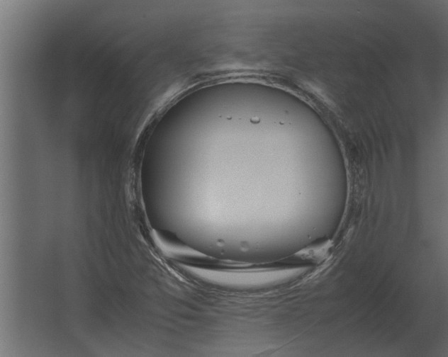 X0000067521357200604211806