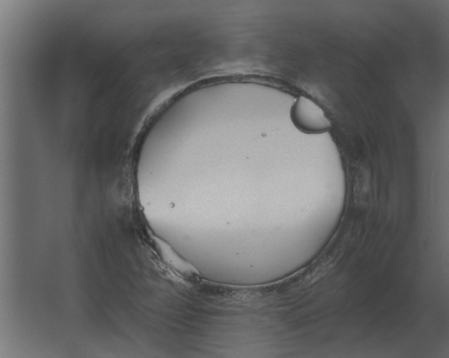 X0000067521358200604211806