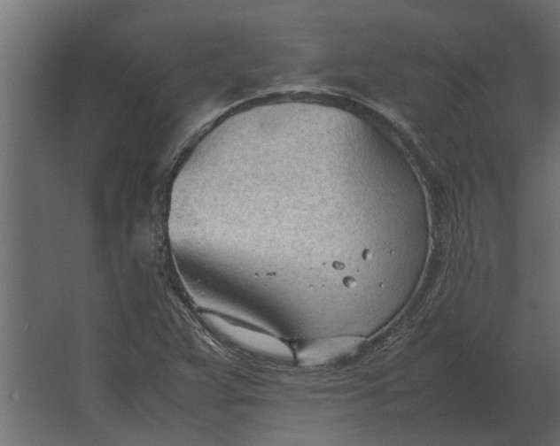 X0000067521359200604211806