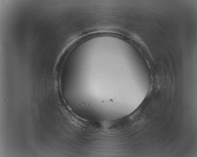 X0000067521360200604211806