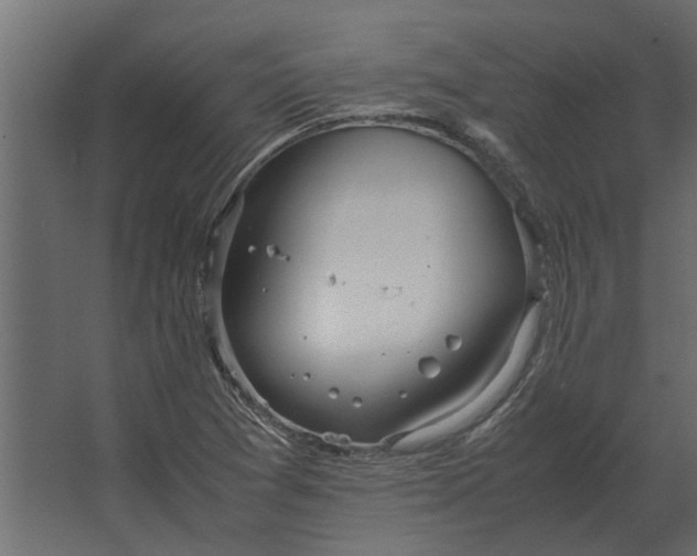 X0000067521361200604211806