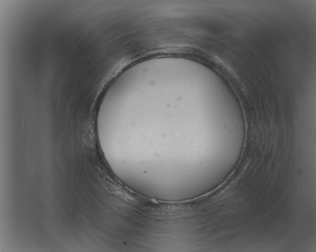 X0000067521362200604211806