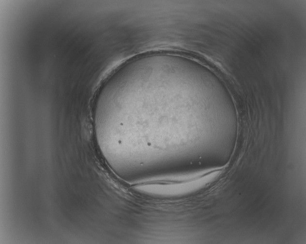 X0000067521363200604211806