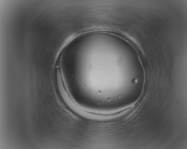 X0000067521365200604211806