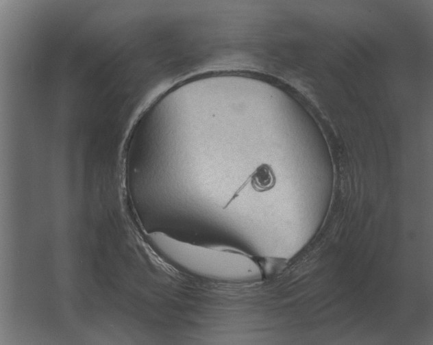 X0000067521366200604211806