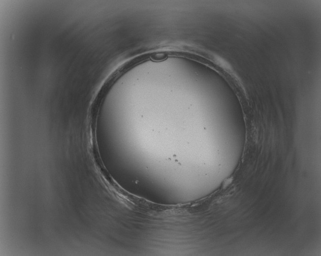 X0000067521368200604211806