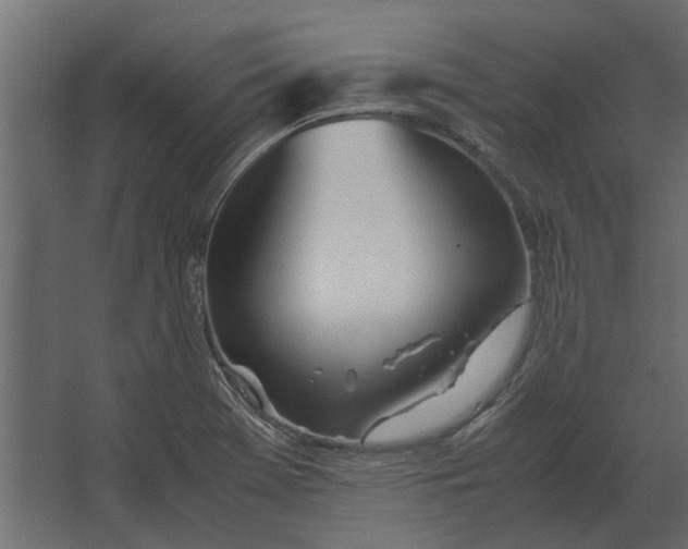 X0000067521369200604211806