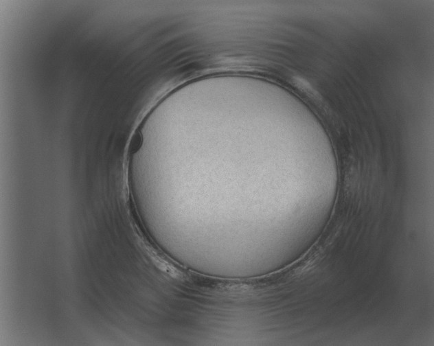 X0000067521370200604211806