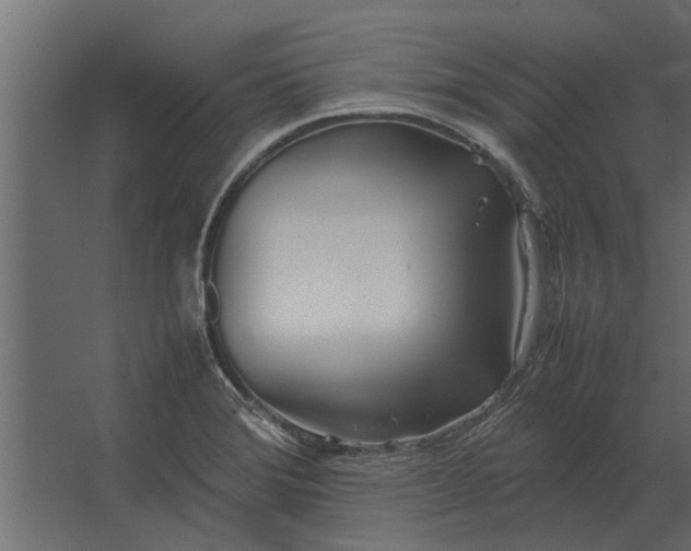 X0000067521372200604211806