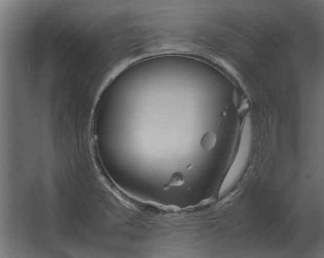 X0000067521373200604211806