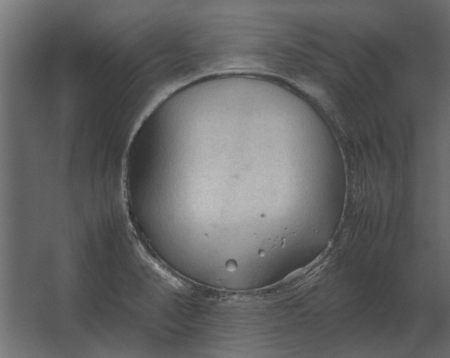 X0000067521374200604211806