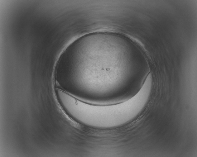 X0000067521375200604211806