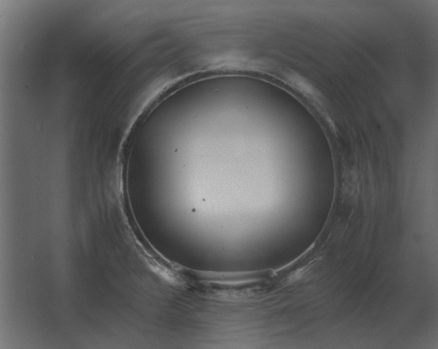 X0000067521376200604211806