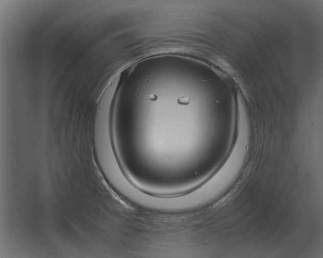 X0000067521377200604211806