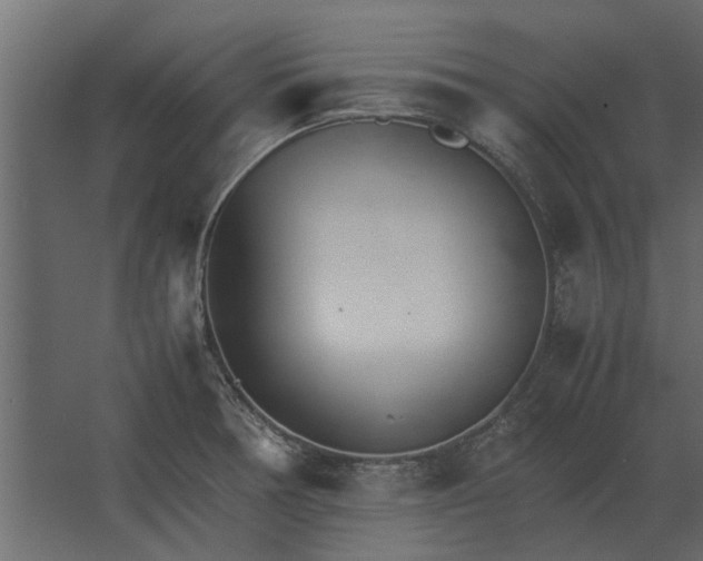 X0000067521378200604211806