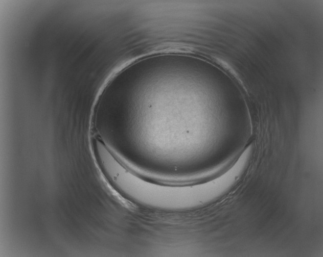 X0000067521379200604211806