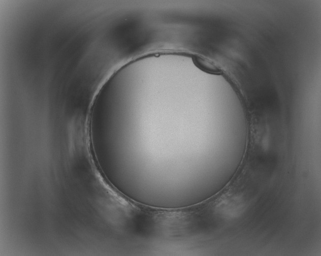 X0000067521382200604211805