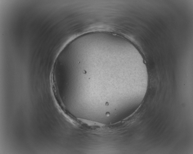 X0000067521383200604211805