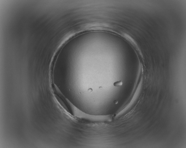 X0000067521384200604211805