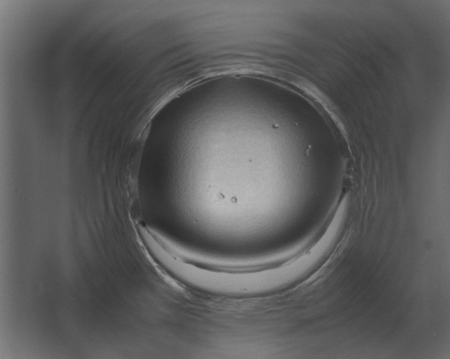 X0000067521385200604211805