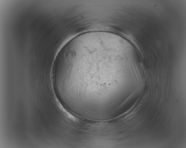 X0000067521387200604211805