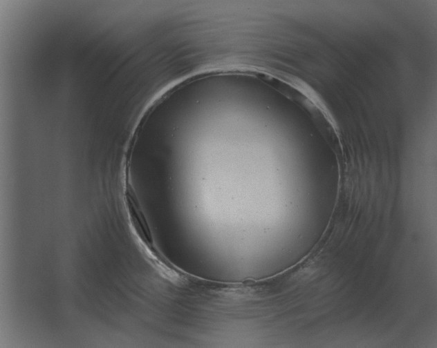 X0000067521388200604211805