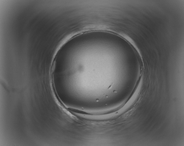 X0000067521389200604211805