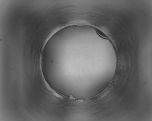 X0000067521390200604211805