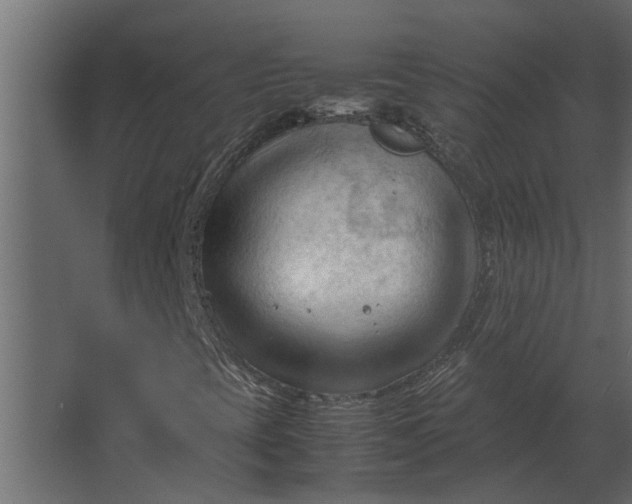 X0000067521393200604211805