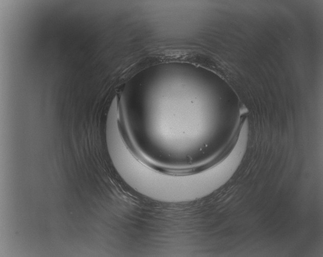 X0000067521394200604211805