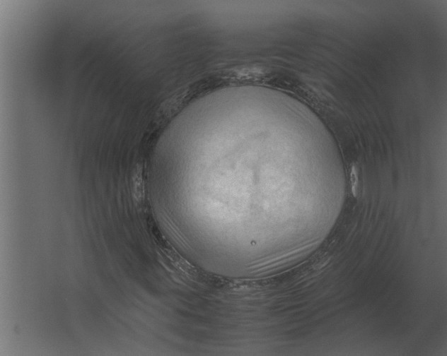 X0000067521395200604211805