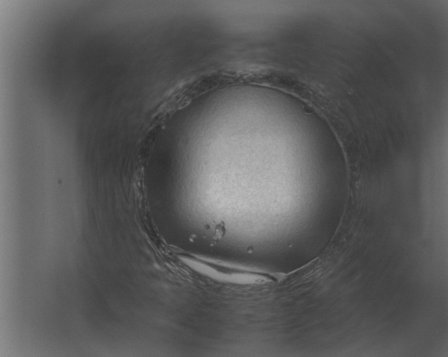 X0000067521397200604211805