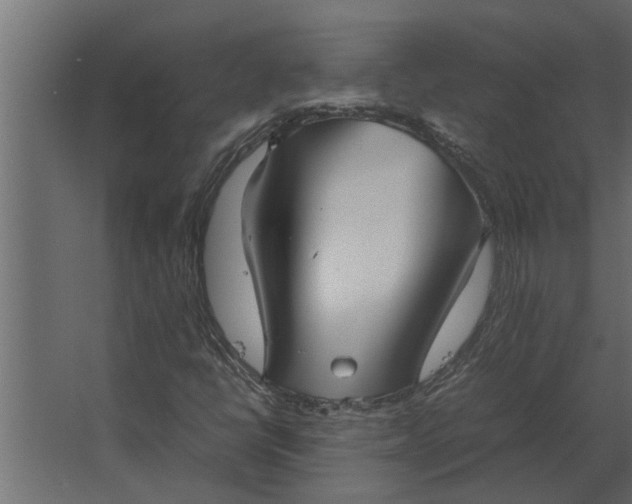 X0000067521398200604211805