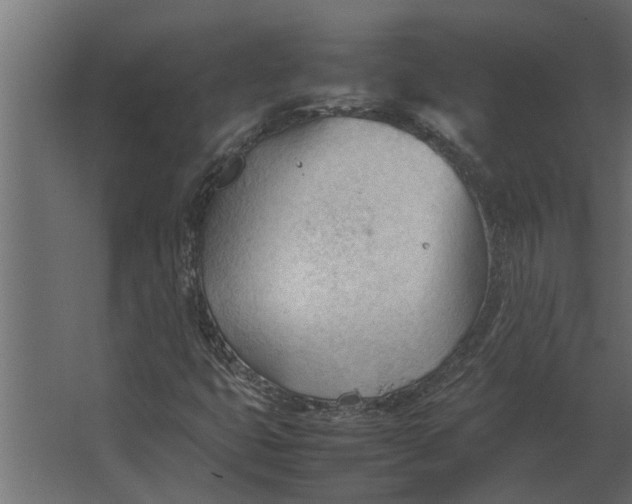 X0000067521399200604211805