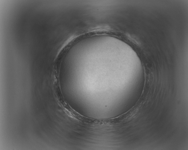 X0000067521400200604211805