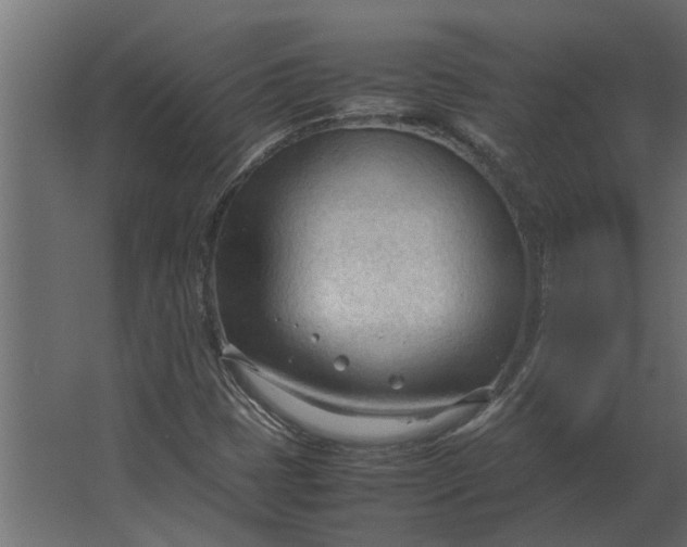 X0000067521401200604211805