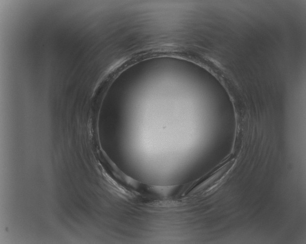 X0000067521402200604211805