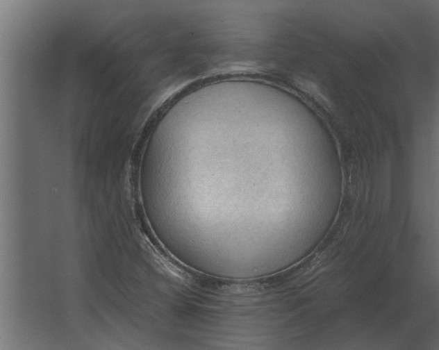 X0000067521404200604211805