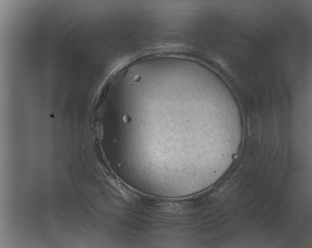 X0000067521405200604211805